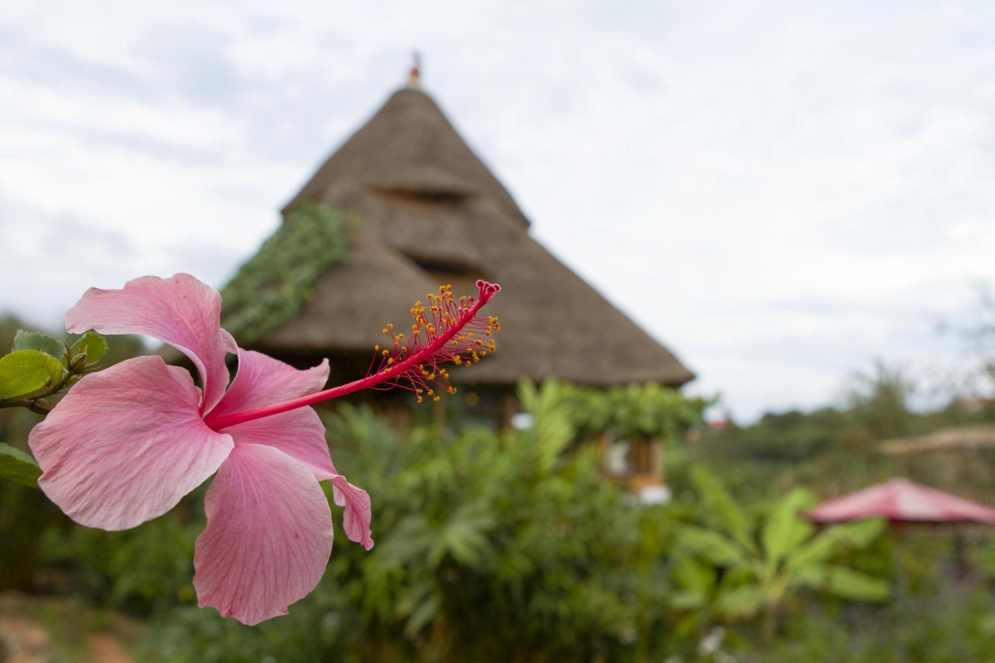 Malakai Eco Lodge Kitende Zewnętrze zdjęcie